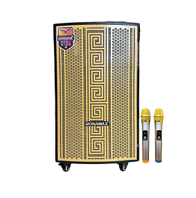 Loa kéo karaoke gia đình 600W